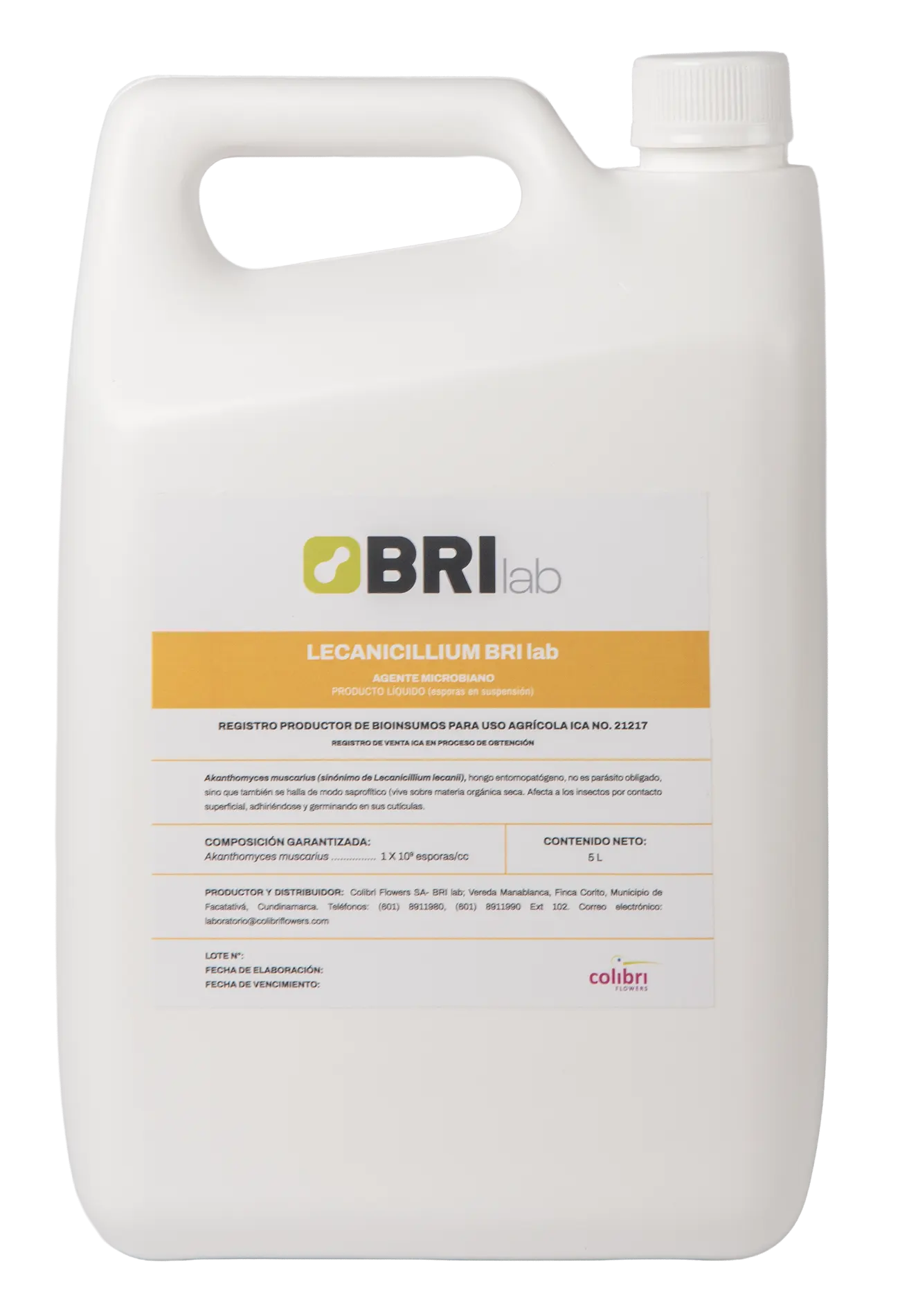 Imagen de Lecanicillium BRILab