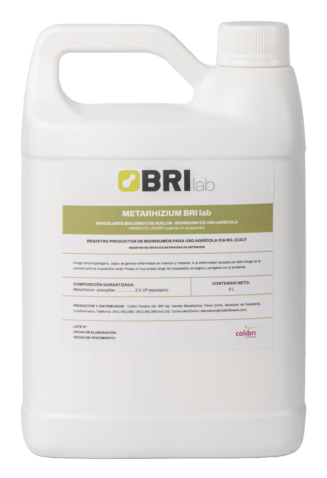 Imagen de Metarhizium BRILab