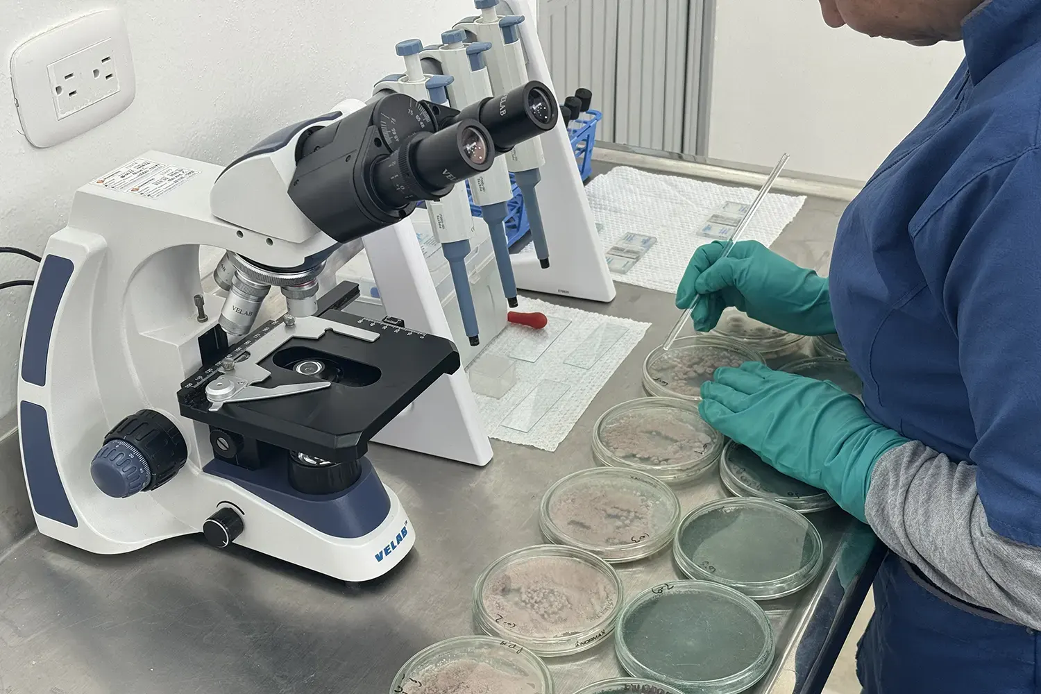 Control de Calidad de Bioinsumos Agrícolas - Verificación de concentración y pureza en BRILab